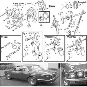 Internal engine - Jaguar XJ6-12 / Daimler Sovereign, D6 1968-'92 - Jaguar-Daimler spare parts - XJ12 timing, pump & filters